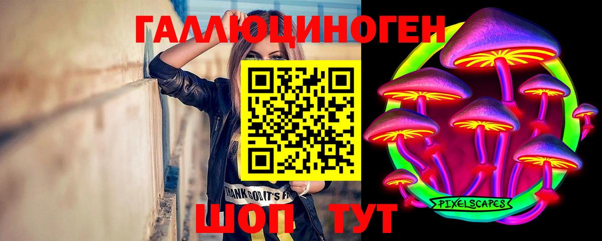 Каменск-Уральский  Галлюциногенные грибы мицелий  Вход с VPN  Псилоцибиновые грибы Psilocybe 