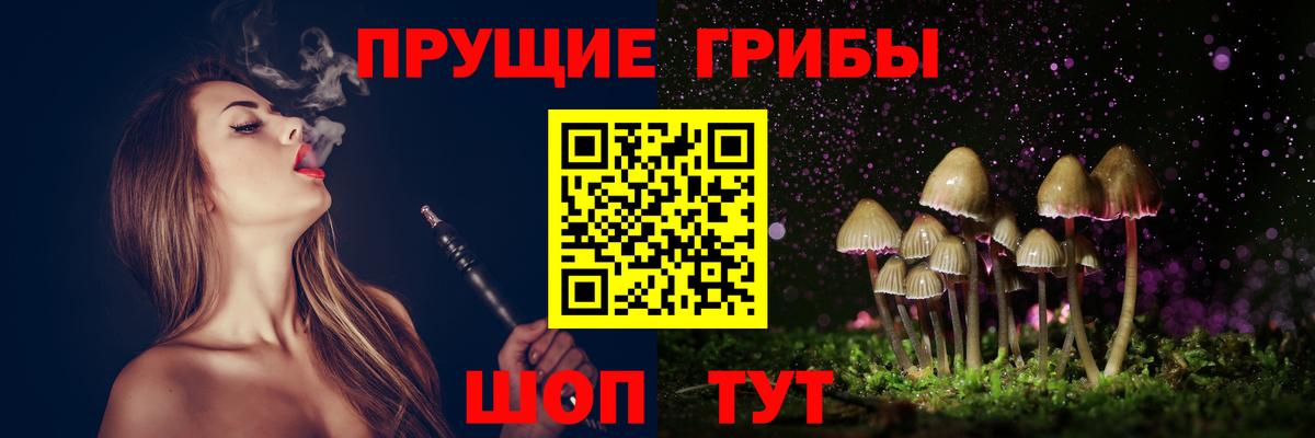 Псилоцибиновые грибы мицелий Каменск-Уральский